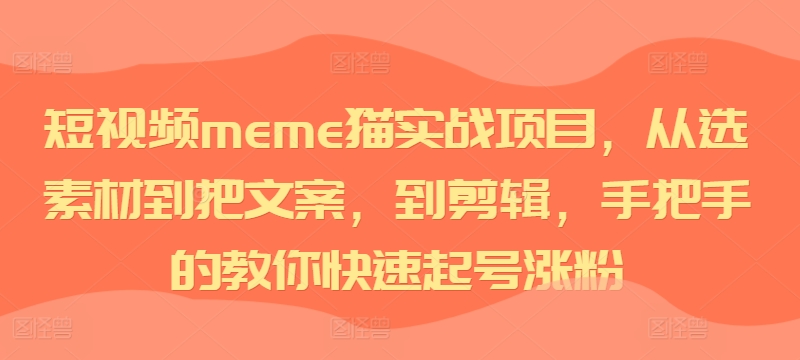 短视频meme猫实战项目，从选素材到把文案，到剪辑，手把手的教你快速起号涨粉-云途资源库