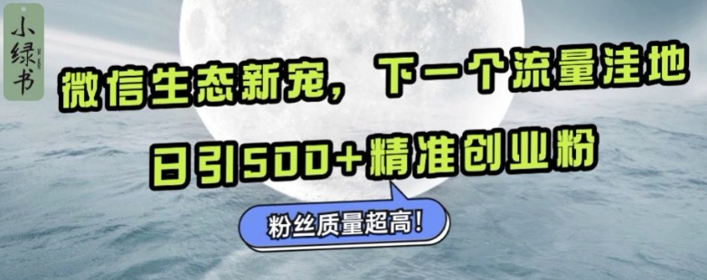 微信生态新宠小绿书：下一个流量洼地，日引500+精准创业粉，粉丝质量超高-云途资源库