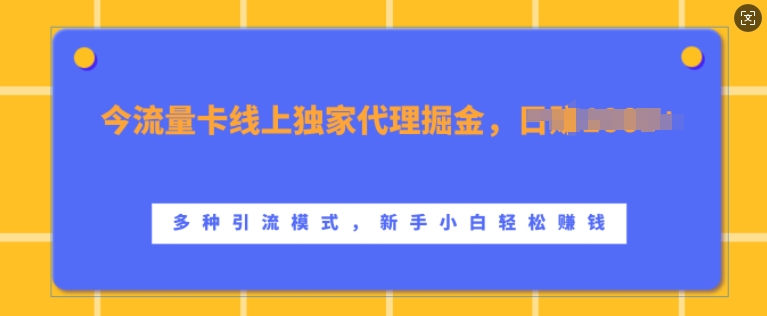 流量卡线上独家代理掘金，日入1k+ ，多种引流模式，新手小白轻松上手【揭秘】-云途资源库