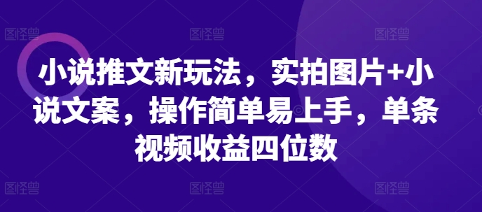 小说推文新玩法，实拍图片+小说文案，操作简单易上手，单条视频收益四位数-云途资源库