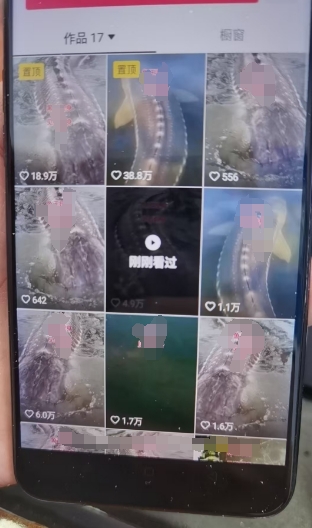 外面卖399的国学佛像原创暴力起号技术，快速起号，7天可达到一个万粉号-云途资源库