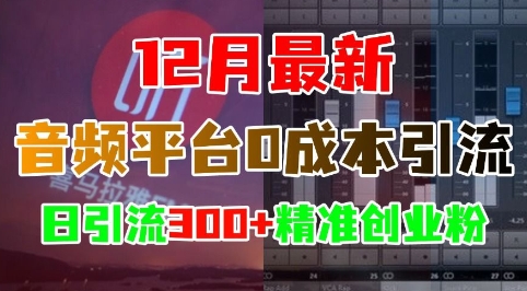 12月最新：音频平台0成本引流，日引流300+精准创业粉-云途资源库