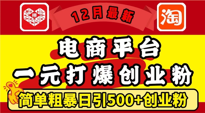 12月最新：电商平台1元打爆创业粉，简单粗暴日引500+精准创业粉，轻松月入过W【揭秘】-云途资源库