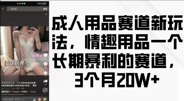 成人用品赛道新玩法，情趣用品一个长期暴利的赛道，3个月收益20个【揭秘】-云途资源库
