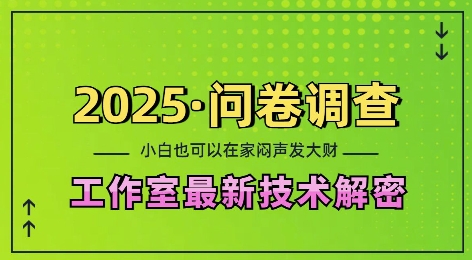 2025问卷调查最新工作室技术解密：一个人在家也可以闷声发大财，小白一天2张，可矩阵放大【揭秘】-云途资源库