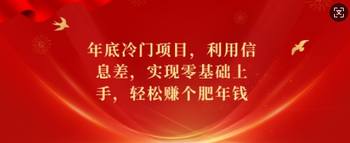 年底冷门项目，利用信息差，实现零基础上手，轻松赚个肥年钱【揭秘】-云途资源库