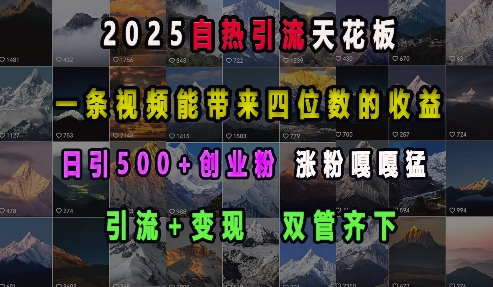 2025自热引流天花板，一条视频能带来四位数的收益，引流+变现双管齐下，日引500+创业粉，涨粉嘎嘎猛-云途资源库