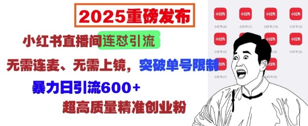 2025重磅发布：小红书直播间连怼引流，无需连麦、无需上镜，突破单号限制，暴力日引流600+-云途资源库