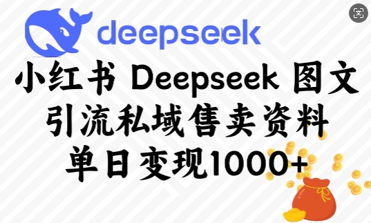 小红书Deepseek图文引流私域售卖资料，单日变现多张-云途资源库