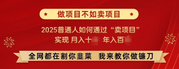 必看，做项目不如卖项目，2025普通人如何通过“卖项目”实现月入十个，年入百个-云途资源库
