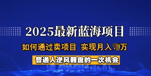 2025蓝海项目，普通人如何通过卖项目，实现月入过W，全过程【揭秘】-云途资源库