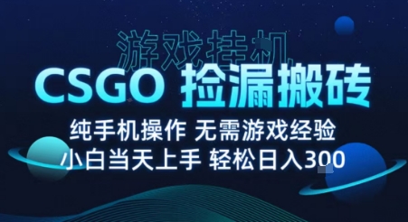 8月最新游戏搬砖，CSGO纯挂G，不需要玩游戏，实现真挂G，月入1W+【揭秘】-云途资源库