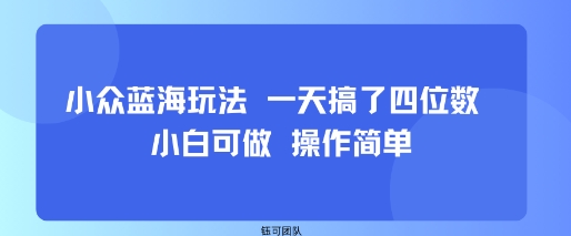 小众蓝海玩法 一天搞了四位数 小白可做 操作简单-云途资源库