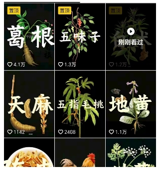 抖音中草药赛道，用AI做中草药故事视频，45条作品涨粉13W，橱窗带货猛猛出单-云途资源库