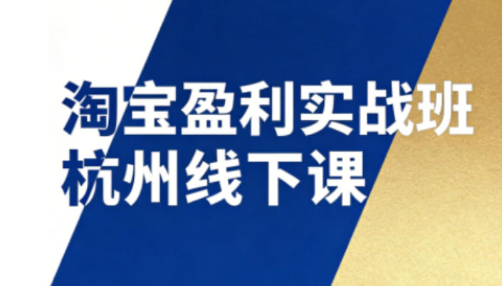 淘宝盈利实战班杭州线下课12月26-28日（音频+字幕），帮你掌握SOP流程+12门核心技术-云途资源库