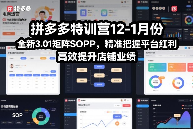 拼多多特训营12-1月份，全新3.01矩阵Sop，精准把握平台红利，高效提升店铺业绩-云途资源库