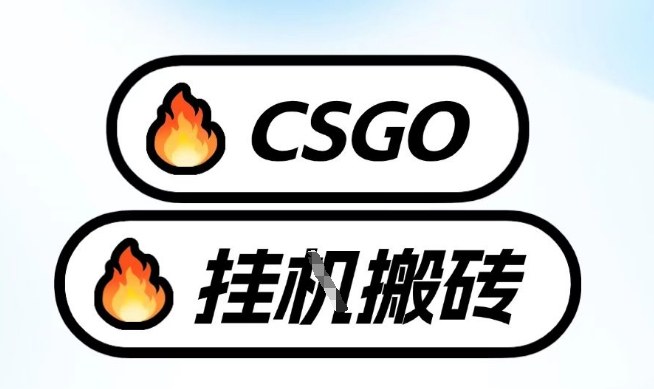 真全网独家CSGO挂G，最新玩法,单日捡漏1K+，不用电脑，不用打游戏【揭秘】-云途资源库
