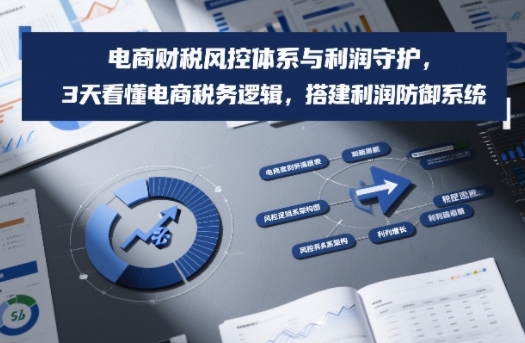 电商财税风控体系与利润守护，3天看懂电商税务逻辑，搭建利润防御系统-云途资源库