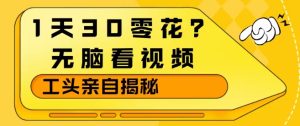 1天30零花?无脑看视频,大佬亲自揭秘-云途资源库