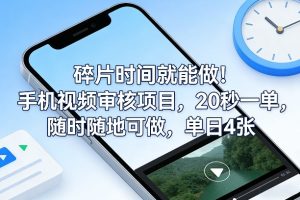 碎片时间就能做！手机视频审核项目，20秒一单，随时随地可做，单日4张+【揭秘】-云途资源库