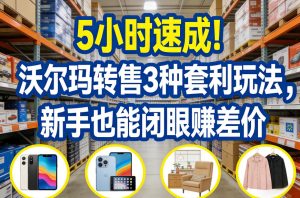 5小时速成!沃尔玛转售3种套利玩法,新手也能闭眼賺差价-云途资源库