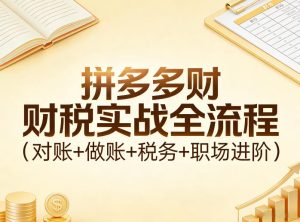 拼多多财税实战全流程（对账+做账+税务+职场进阶）-云途资源库