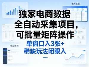 独家电商数据全自动采集项目，可批量矩阵操作，单窗口日入3张+，稀缺玩法闭眼入【揭秘】-云途资源库