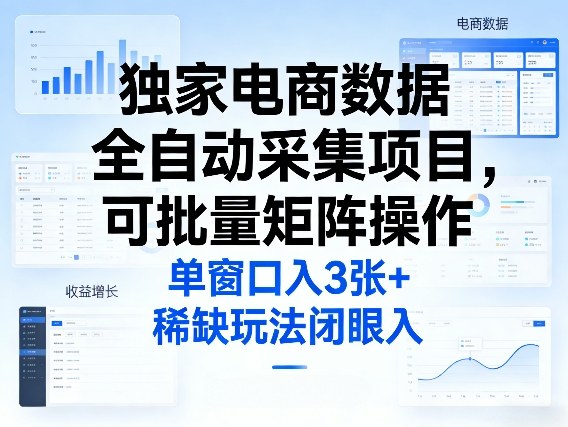 独家电商数据全自动采集项目，可批量矩阵操作，单窗口日入3张+，稀缺玩法闭眼入【揭秘】-云途资源库