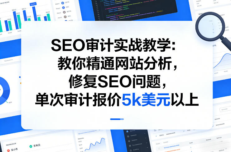 SEO审计实战教学：教你精通网站分析，修复SEO问题，单次审计报价5k美元以上-云途资源库
