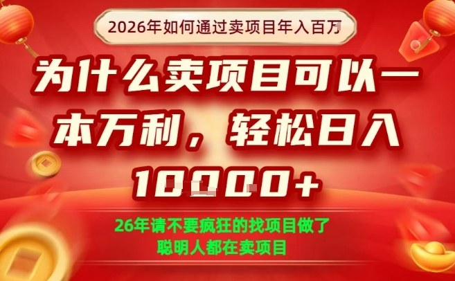 一单净利润1K+，26年想年入100个W，死磕卖项目就够了【揭秘】-云途资源库