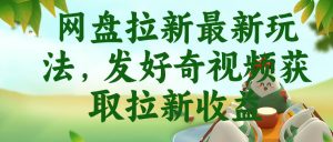 网盘拉新最新玩法,发好奇视频获取拉新收益,抖音收藏家玩法-云途资源库