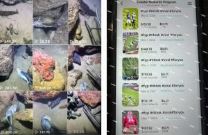 Tiktok中视频解说教程，体育+温情文案双赛道实操教程一站式带你落地，教你出海賺美刀-云途资源库
