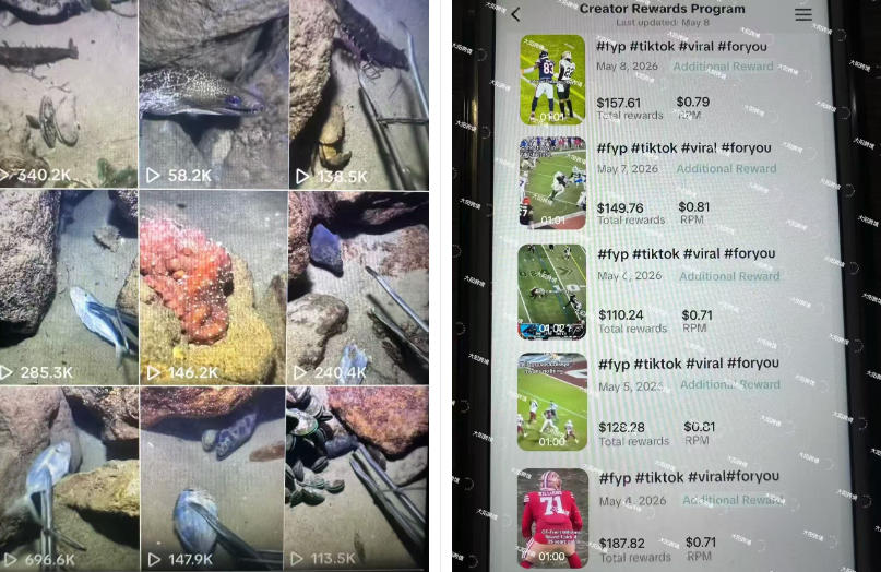 Tiktok中视频解说教程，体育+温情文案双赛道实操教程一站式带你落地，教你出海賺美刀-云途资源库
