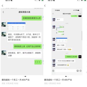 薅流虚拟2.0陪跑课，0成本AI流程化操作，淘宝+闲鱼同步玩法，上一次货两个平台有收益，单店每天200纯利润-云途资源库
