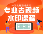 专业去视频水印教程 静态水印、动态水印、文字水印、图片水印一套教程通通搞定-云途资源库