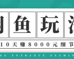 龟课·闲鱼项目玩法实战班第12期，操作10天左右利润有8000元细节玩法-云途资源库
