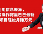 利用信息差异，零投资操作阿里巴巴最新管道项目轻松月赚10000+-云途资源库