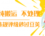 抖音纯搬运 不处理 小技巧，30秒发一个作品，避免违规评级秒过豆荚-云途资源库