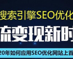 SEO搜索引擎优化总监实战VIP课堂【透析2020最新案例】快速实现年新30W-云途资源库