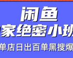 火焱社闲鱼独家绝密小班课-闲鱼单店日出百单黑搜爆破法-云途资源库