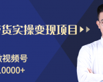 柚子分享课：微信视频号变现攻略，新手零基础轻松日赚千元-云途资源库