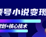 柚子微信视频号小说变现项目，全新玩法零基础也能月入10000+【核心技术】-云途资源库