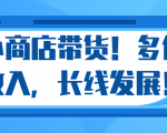 微信小商店带货，爆单多倍收入，长期复利循环！日赚300-800元不等-云途资源库