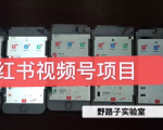 野路子小红书视频号1.0项目，直接上手操作就能赚钱的视频号项目-云途资源库