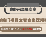 暴利偏门项目全套合集视频教程：你要的日赚1000+月入几万+项目都有-云途资源库