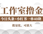 工作室撸金二件套：撸今日头条原创收益+小红书一单利润40块项目-云途资源库