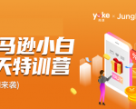 雨课·亚马逊小白特训营第9期 跨境电商挺赚钱的 有朋友已经月入几十万美金-云途资源库