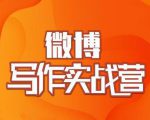 村西边老王·微博超级写作实战营，帮助你粉丝猛涨价值999元-云途资源库