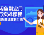 2021闲鱼副业月入过万实战课程：从开店到选择货源到引流，全程实战教学-云途资源库