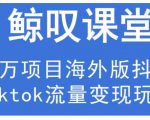 鲸叹号·海外TIKTOK训练营，百万项目海外版抖音tiktok流量变现玩法-云途资源库